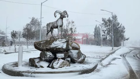 Nevada en el poblado La Rumorosa, miercoles 1 de marzo 2023