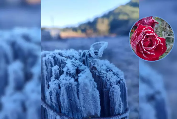 Heladas en Sinaloa 2024.