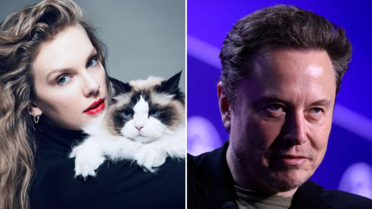 Elon Musk vs Taylor Swift