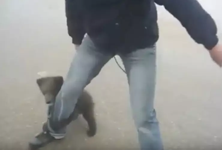 osito-hombre-incendio