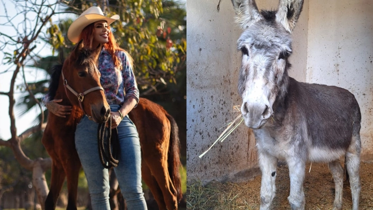 Elena Larrea falleció el martes 19 de marzo, debido a una trombosis pulmonar que ocasionó un coágulo en el pulmón.