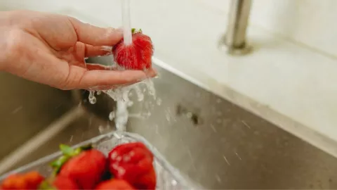 ¿Cuál es el método para desinfectar correctamente las fresas?