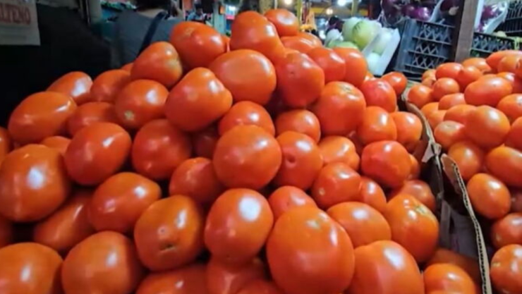 Precio tomate hoy
