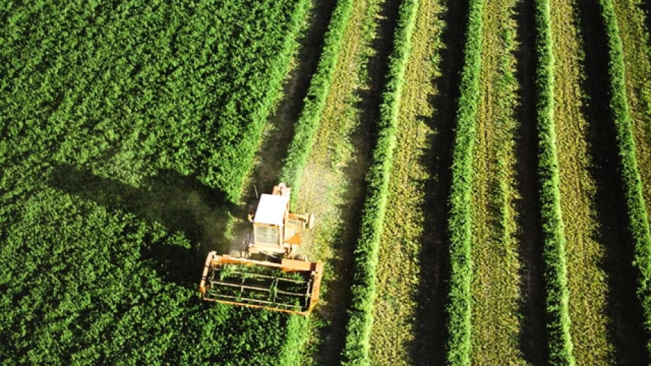 crece exportaciones agropecuarias pesqueras agricultura