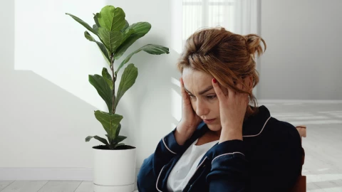 plantas ornamentales no recomendadas