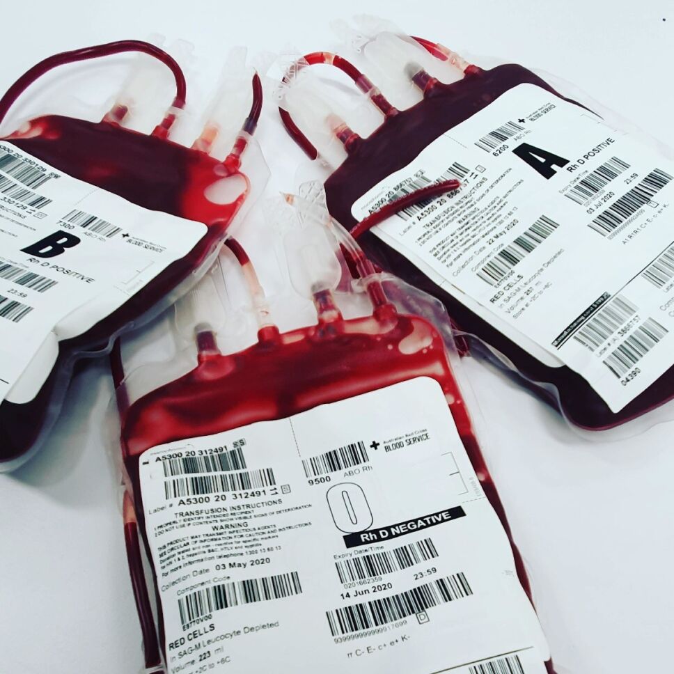 Dónde donar sangre