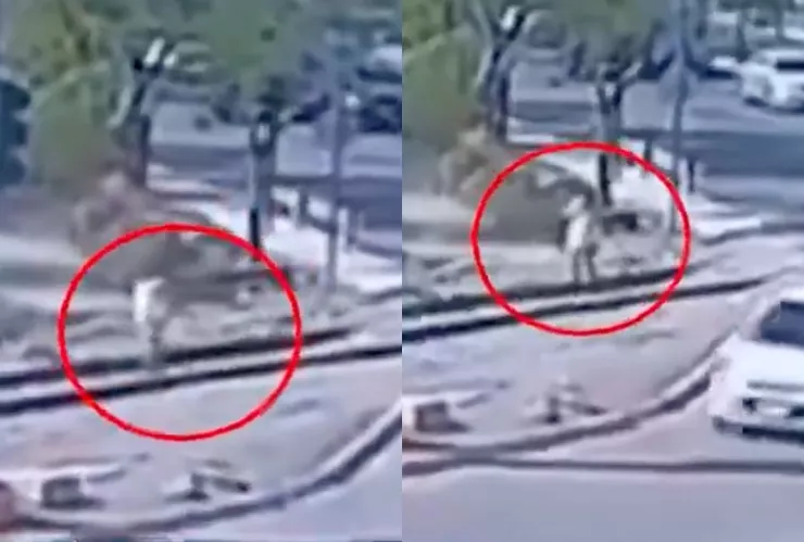 ¡De terror! Mujer muere luego de ser arrollada por el tren en Nuevo León