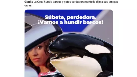 Estos son los mejores memes de la orca ‘Gladis’ que hunde yates en pandilla