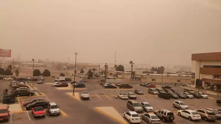 WhatsApp Image 2025-02-11 at 5.08.01 PM.jpeg