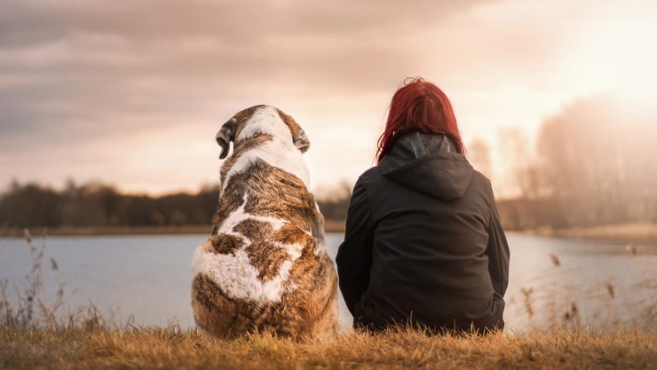 Te irás de vacaciones pero no sabes qué hacer con tu perro o gato