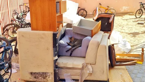 Qué cosas tirar antes del 1 de enero para empezar el año con el pie derecho.jpg