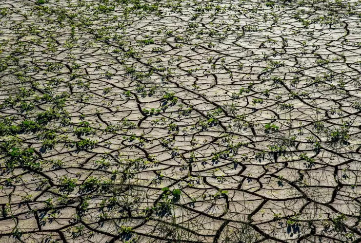 ¿Cuáles serán las consecuencias de la sequía en Jalisco para el 2025?