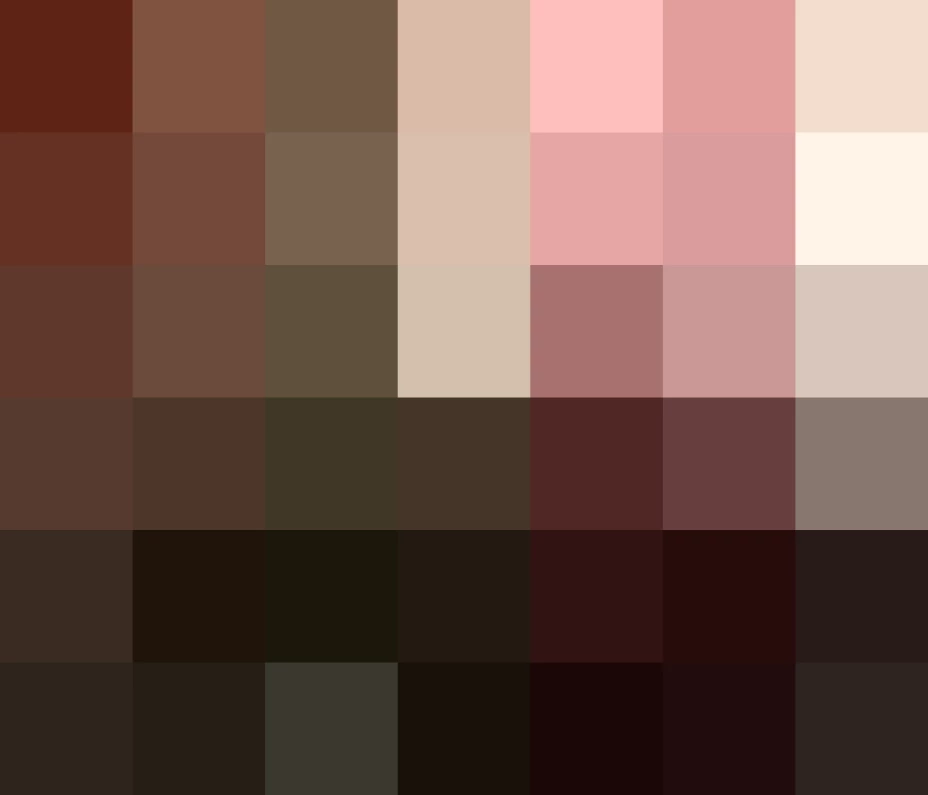 Rosario Robles, secretaria de Desarrollo Social