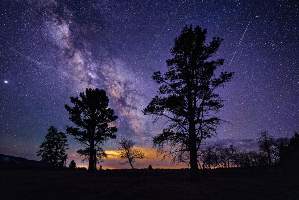 lluvia de estrellas y arboles