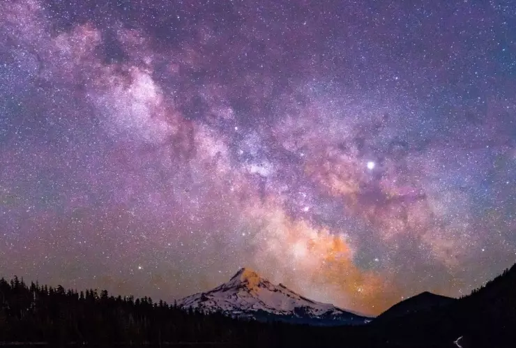 Colisionador de Hadrones, experimento.jpg