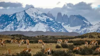 Sorpresiva tormenta mató a turistas mexicanos en parque nacional de Chile; hay 7 desaparecidos