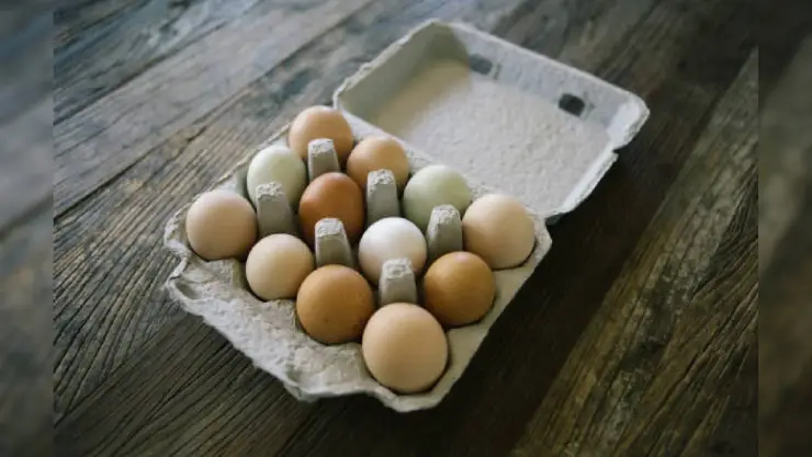Huevos