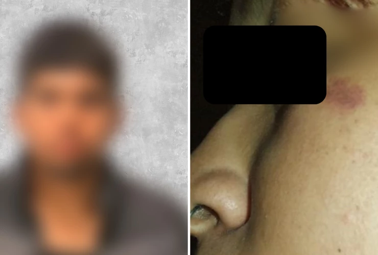 Agresor de una menor en león (1).png