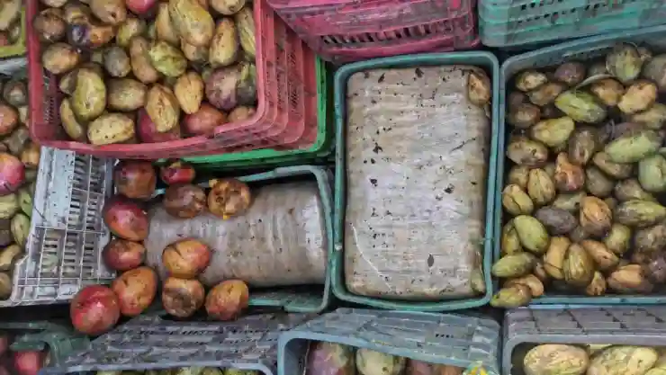 marihuana cargamentos mango guardia nacional.jpg