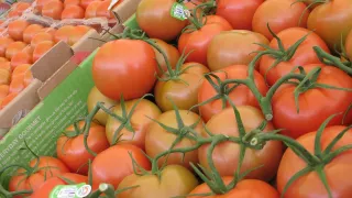 ¡Cada vez más caro! Este es el precio del jitomate hoy en el Mercado de Abastos