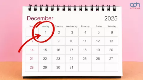 ¿El 1 de diciembre es feriado?