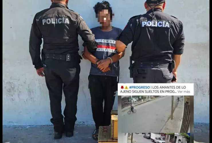 WhatsApp Image 2025-01-04 at 11.50.28.