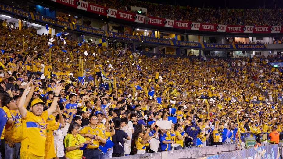 Ser aficionado de Tigres puede tener varios significados