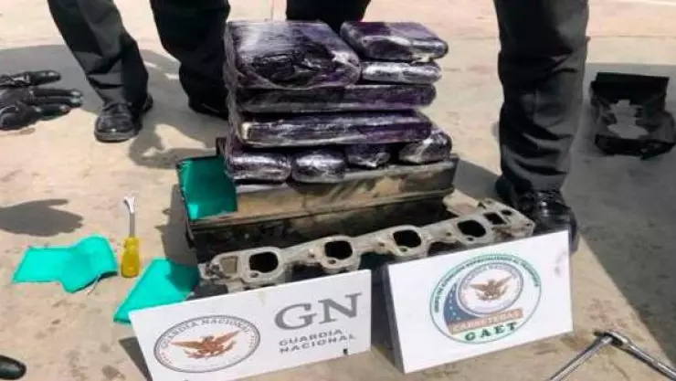 cocaína en gato.jpg