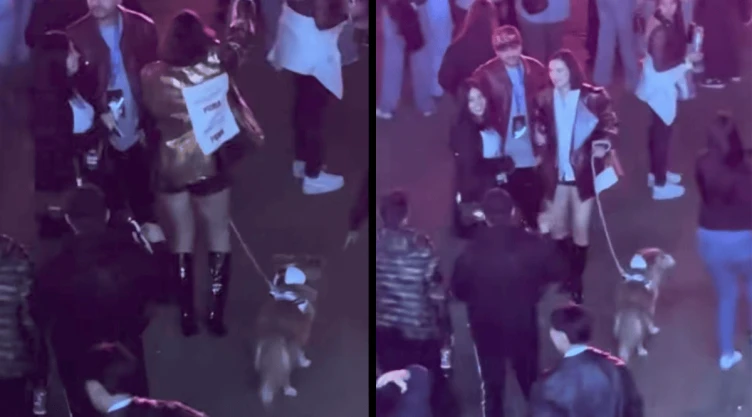 Video Influencer es funada por llevar a su perro al Flow Fest.png