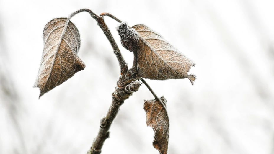 MUERE HOMBRE FRÍO TEHUACÁN
