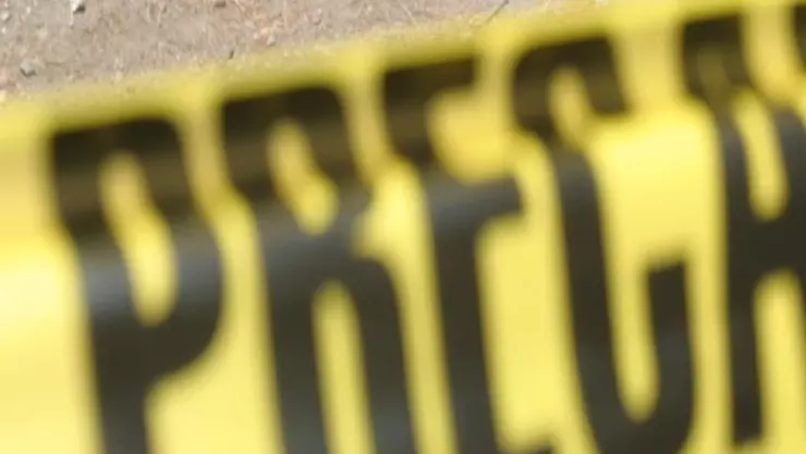 La Fiscalía de Jalisco confirmó el hallazgo de restos correspondientes a cuatro personas durante la búsqueda de jóvenes desaparecidos.