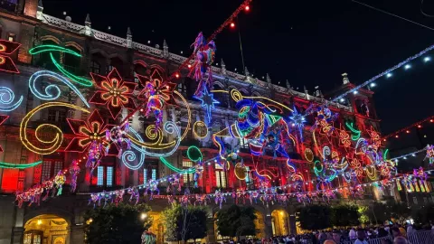 verbena navide&ntilde;a