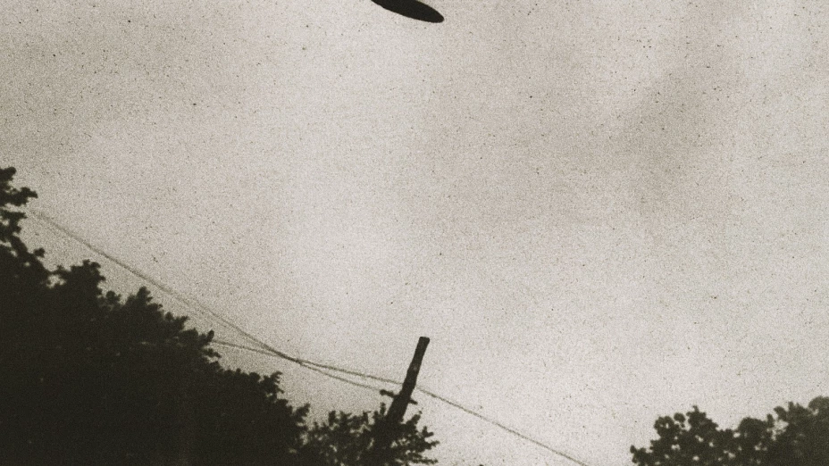 WhatsApp Image 2025-10-09 at 12.30.36 AM.jpeg