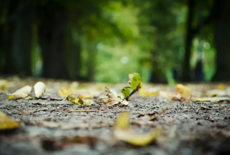 Ataque con sustancia química.png