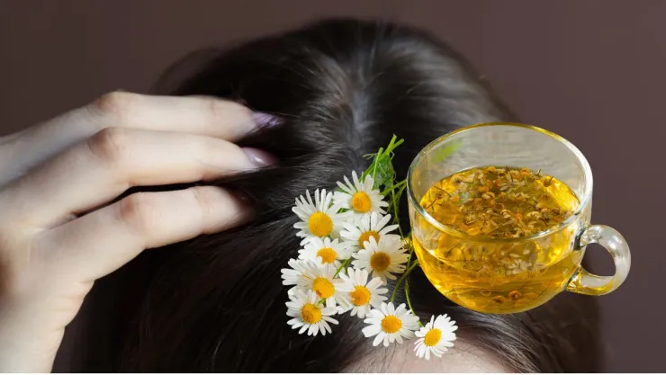 Cuál es el remedio natural que desinflama la raíz y elimina la grasa del cuero cabelludo