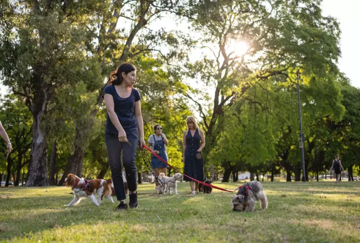 Parques para perros en CDMX