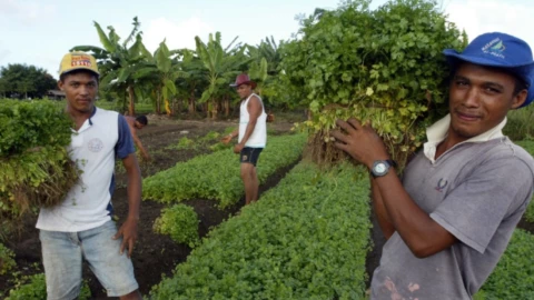 america latina caribe hambre.jpg