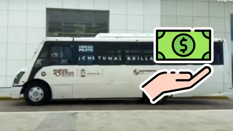 Ruta Caribe en Chetumal con servicio GRATUITO: ¿Hasta cuándo podrás trasladarte gratis?