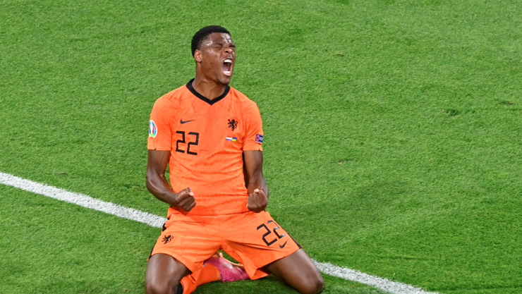 Geroginio Wijnaldum, selección de Holanda
