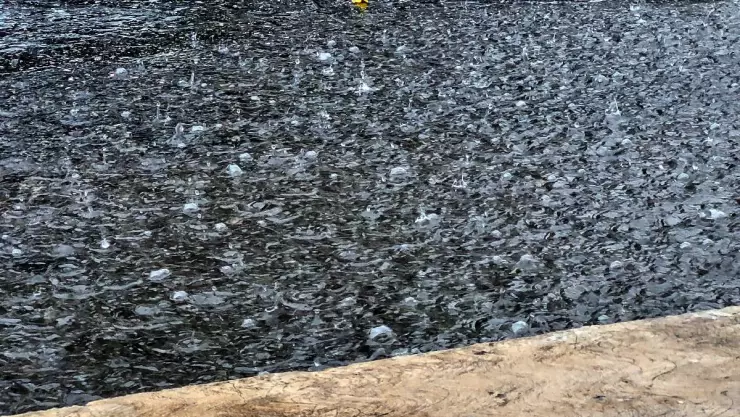 Zona de baja presión dejará FUERTES LLUVIAS para el clima hoy en Yucatán viernes 21 de junio