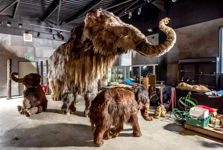 Recuperan el ADN de dos mamuts siberianos, el más antiguo del que se tenga registro