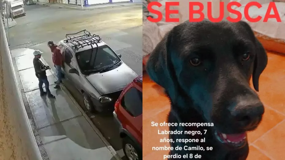 roban auto con un perro adentro en Tehuacán, Puebla