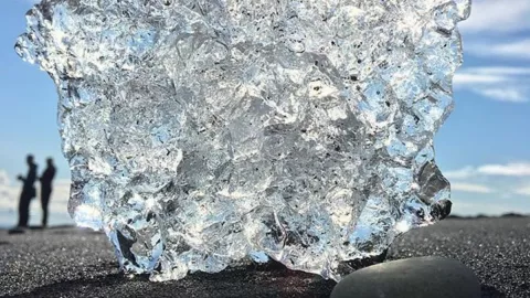 diamantes, restos, organismos b.jpg