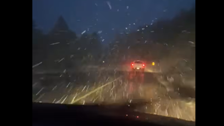 nieve chihuahua