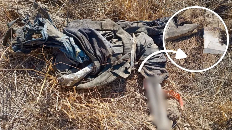 Encuentra hoy a Martha Molina en Cerro Coronel de Rosarito ¿Qué fue lo que pasó?