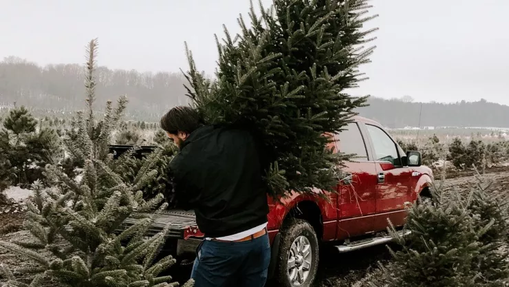 árbol navideño 2023