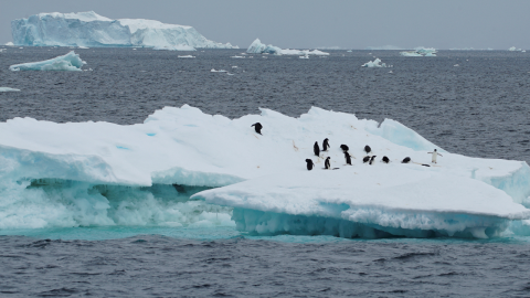 Se derriten glaciares de la Antártida