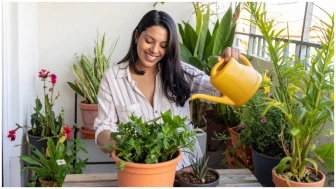 plantas resistentes para jardín