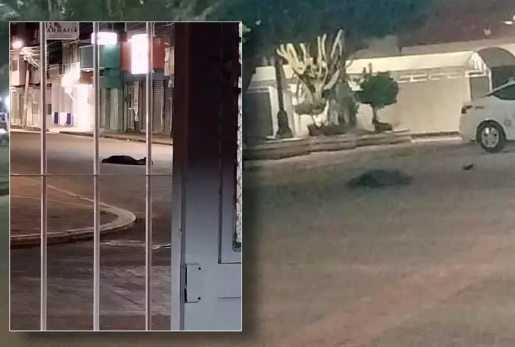 Hombres muertos balazos Ocozocoautla