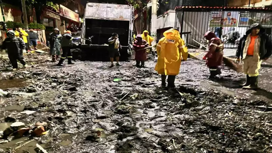 WhatsApp Image 2025-07-20 at 12..jpg